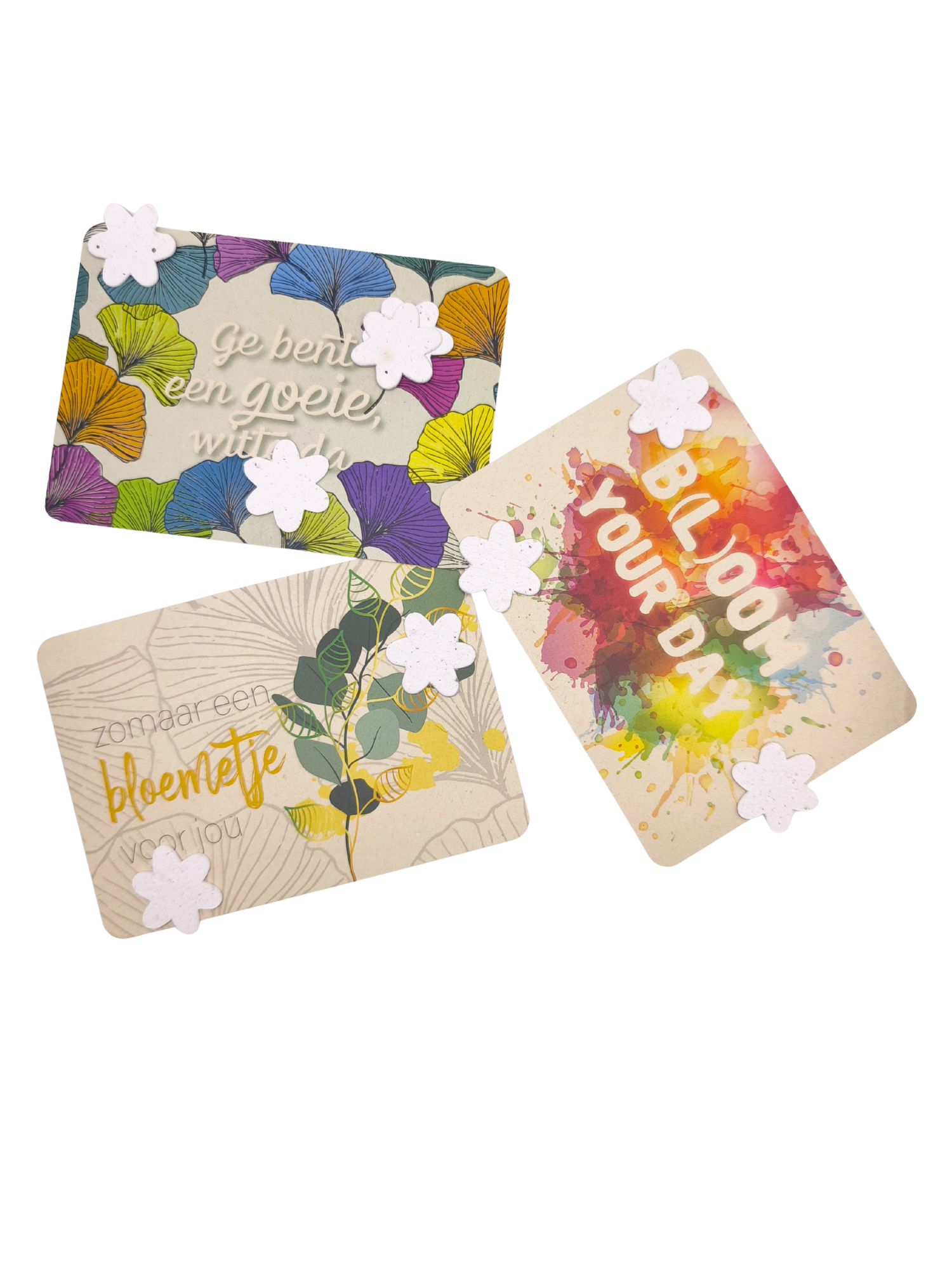 complimenten cadeau
compliment kaartjes voor collega’s
waarderingscadeau met betekenis